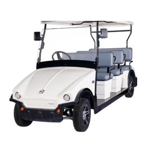 EV Golf Kart (Battery Operated) 4-Wheeler Working Model -IES-EV-350